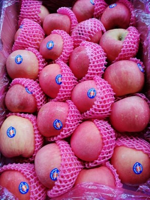 Apel Fuji