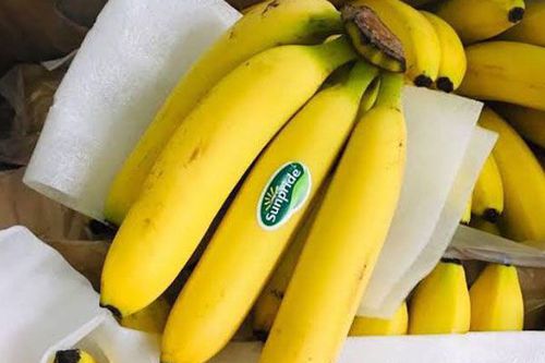 Pisang Cavendish Sunpride