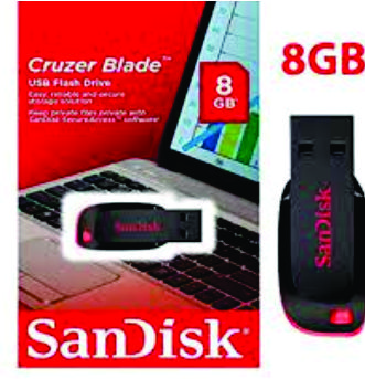 FlashDisk SanDisk 8GB 