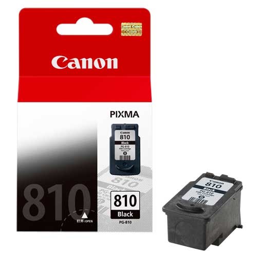 Catridge Printer Canon black 810