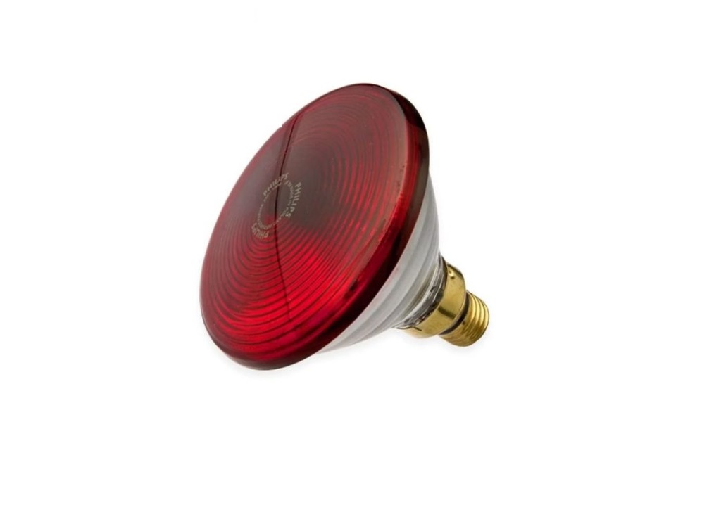 Balon Lampu Infrared Philips Fisioterapi