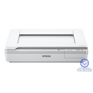 Scanner A3 EPSON DS-50000 