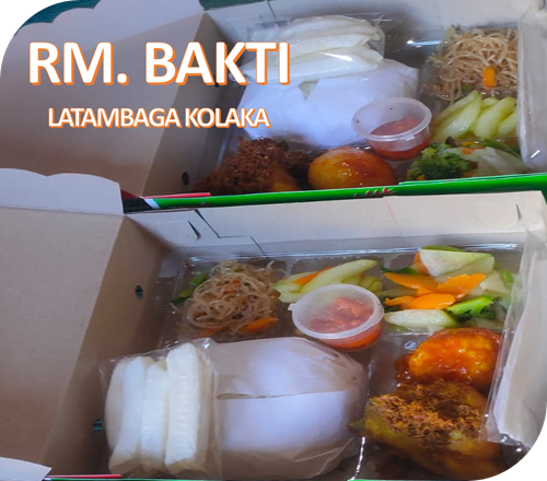 Nasi Ayam Telur