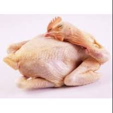 Daging Ayam Kampung