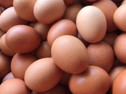 Telur Ayam Ras 1kg