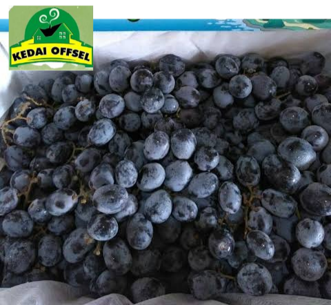 Buah Anggur