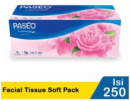 FACIAL TISSUE SOFT PACK 2PLY 250 SHEETS