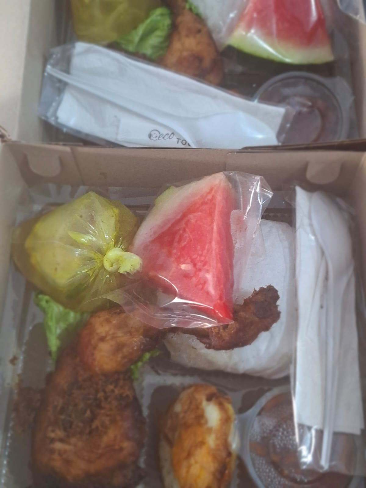 NASI KOTAK 1