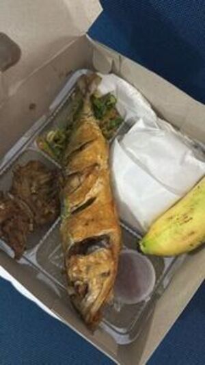 Nasi Kotak Ikan