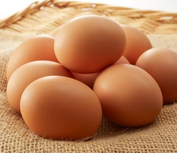 Telur Ayam Ras