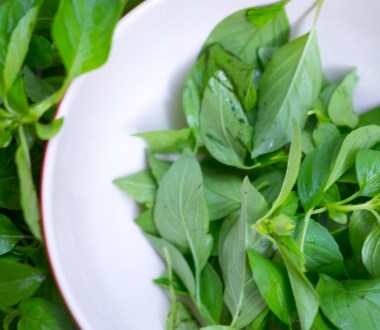 Daun Kemangi