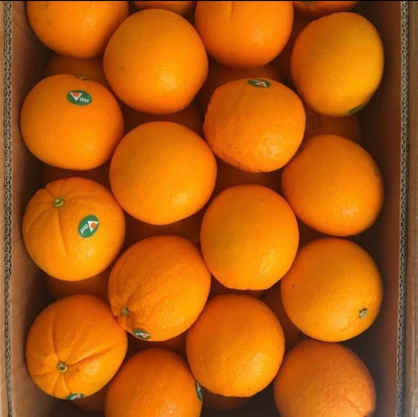 Jeruk Sunkist