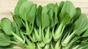 sayur sawi
